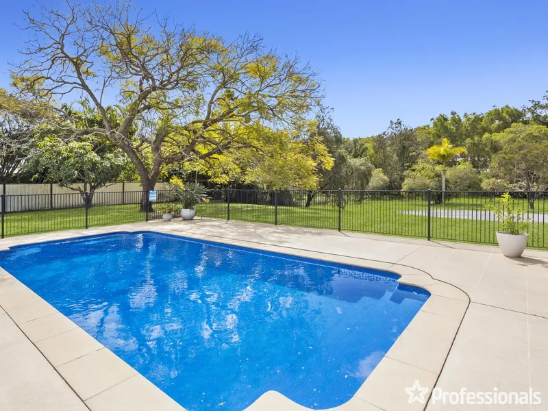 Just in Time For Christmas