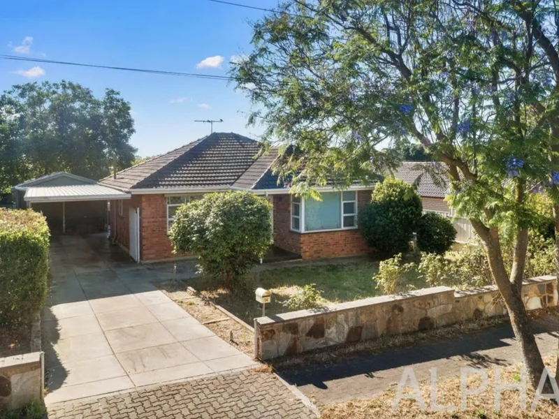 4 bedroom 2bathroom house in TTP