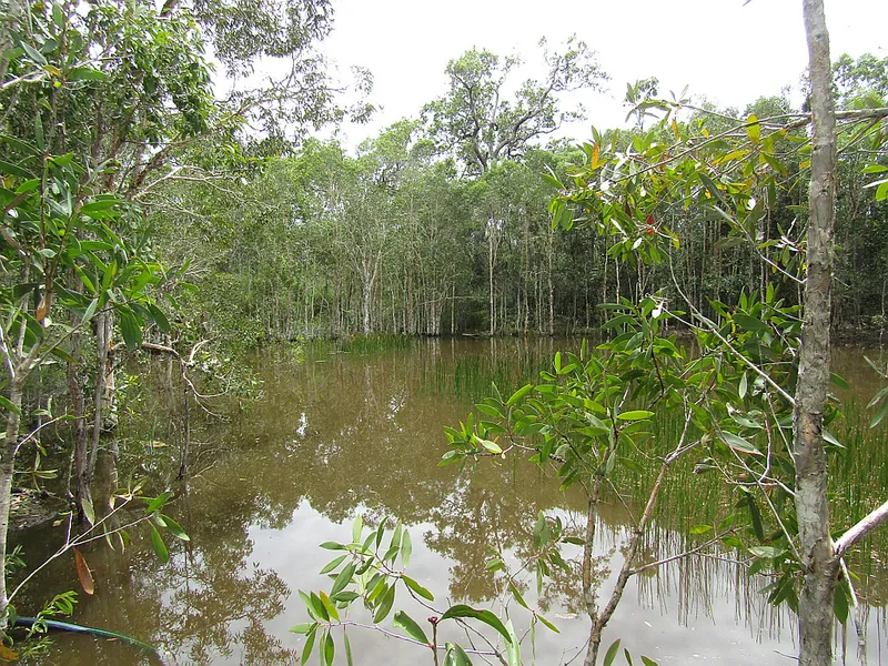 Mountain Views, established gardens beautiful property located Captain Creek!