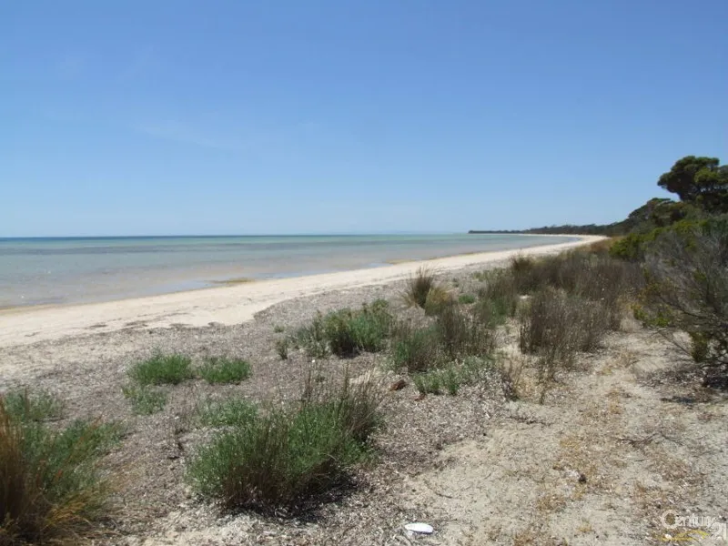 SEASIDE LIVING WITH OUT THE PRICE TAG!