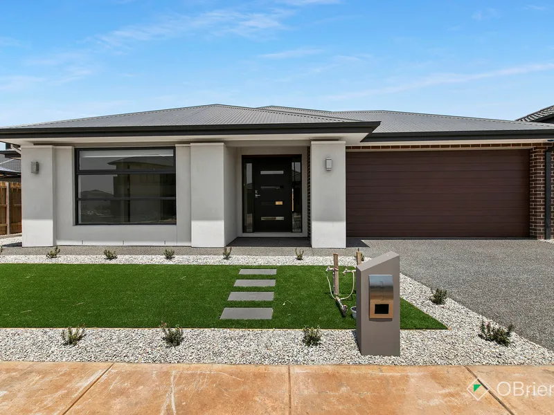 Nothing Like the Rest!!