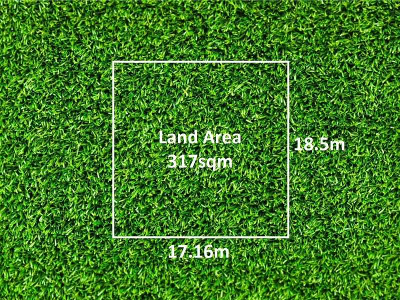 MARKET ENTRY OPPORTUNITY