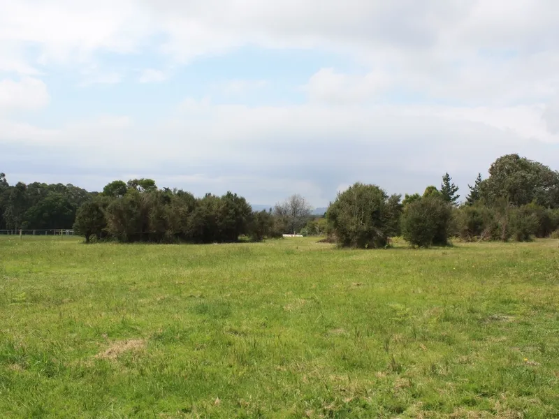 5 acre semi bush, ready to build