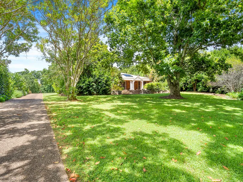 Dress Circle Elegance on Bateke