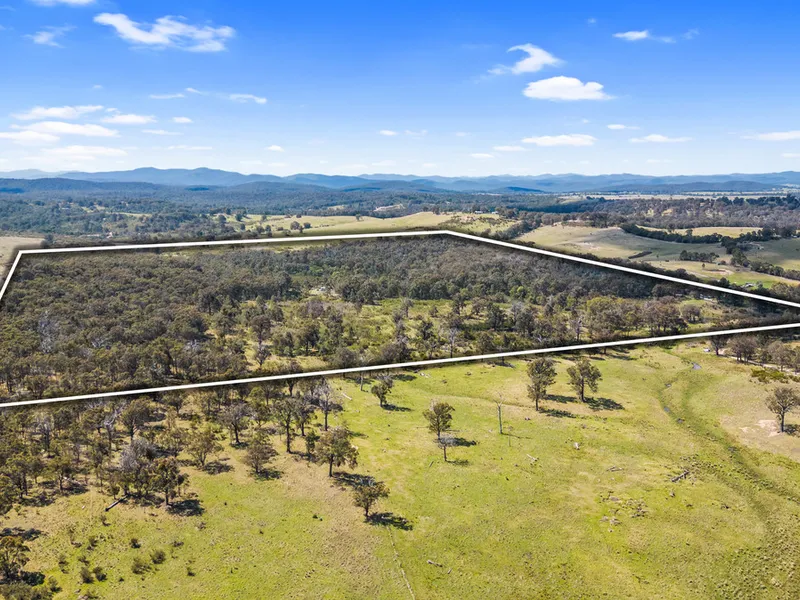 100 acre Bush Block