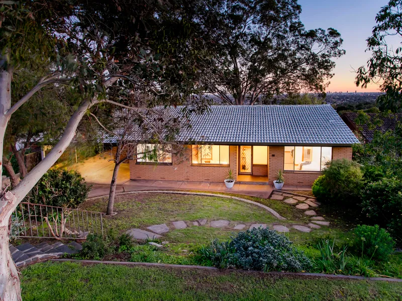 Tree-top living with panoramic views of the city and the sea!