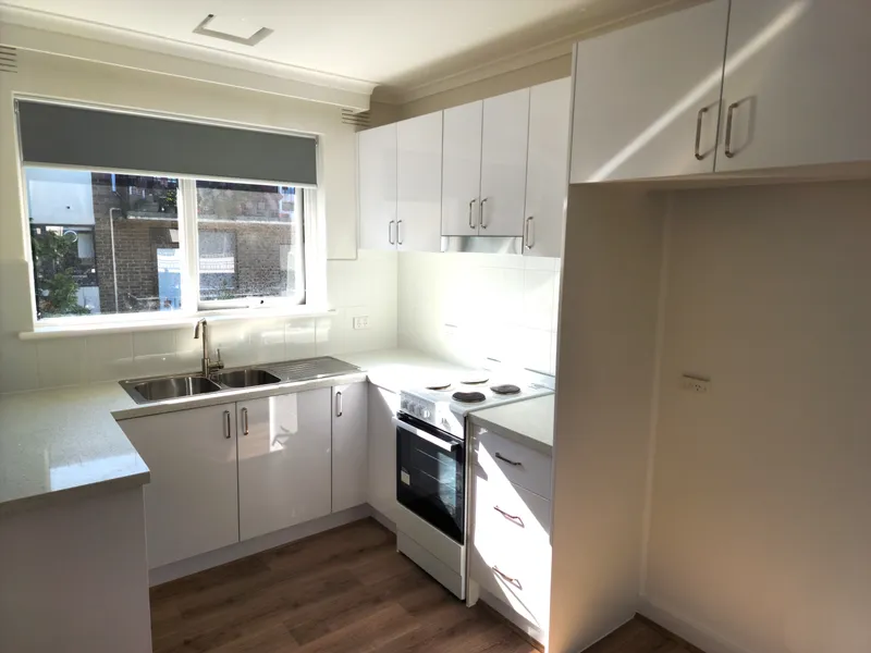 Renovated Spacious First Floor Apartment