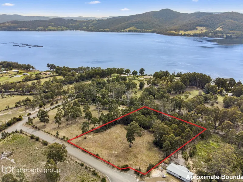 Stellar Parcel Of Land