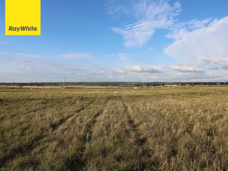 'They Don't Hit The Market Very Often'