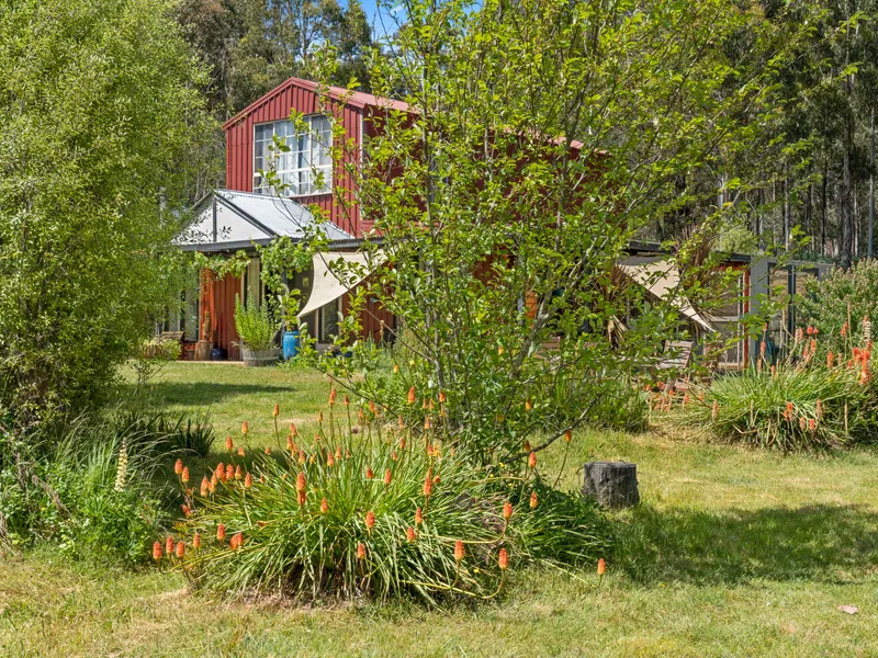 BUSHLAND ESCAPE IN KELLY COUNTRY