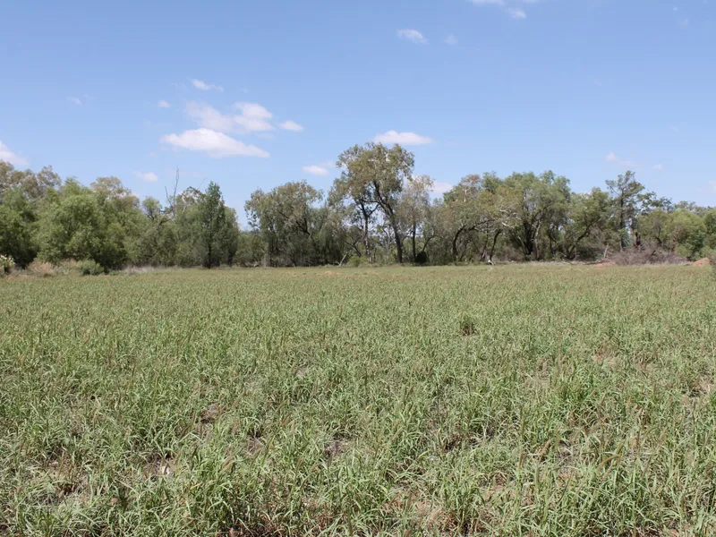 BUILD YOUR DREAM HOME