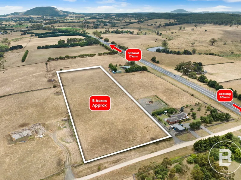 RARE LIFESTYLE BLOCK WITH PLANS APPROVED TO BUILD YOUR DREAM HOME.