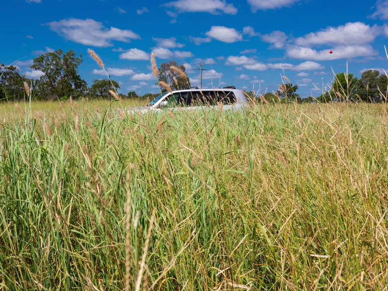 BEAUTIFUL BIT OF COUNTRY RIGHT ON THE EDGE OF ROCKHAMPTON CITY with a 4 BEDROOM BRICK HOME