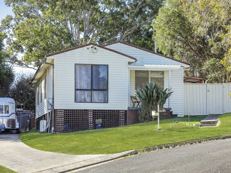 A Yard That Kids and Pets will Love