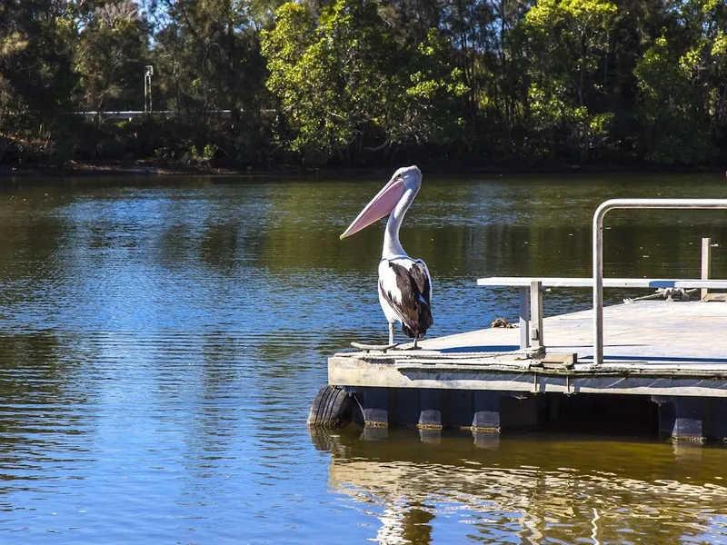 Comfortably modern downsizer