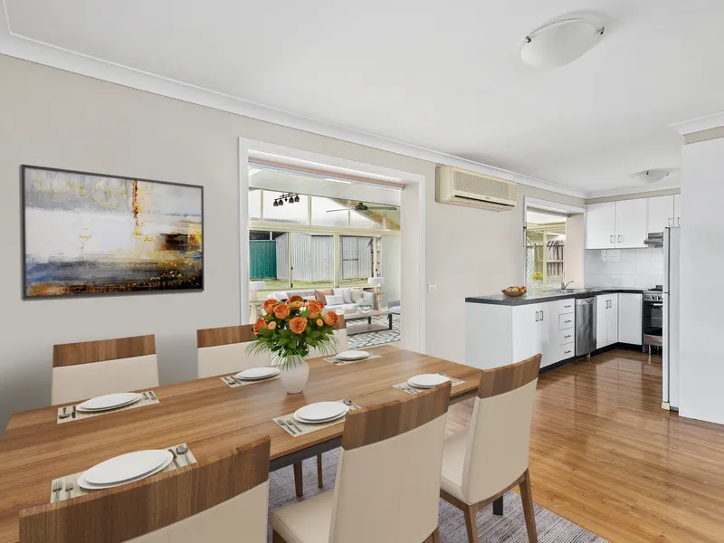 Affordable Beginner!