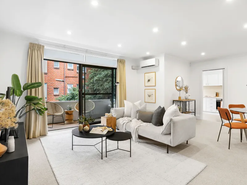 Welcome to Your Leafy Urban Oasis