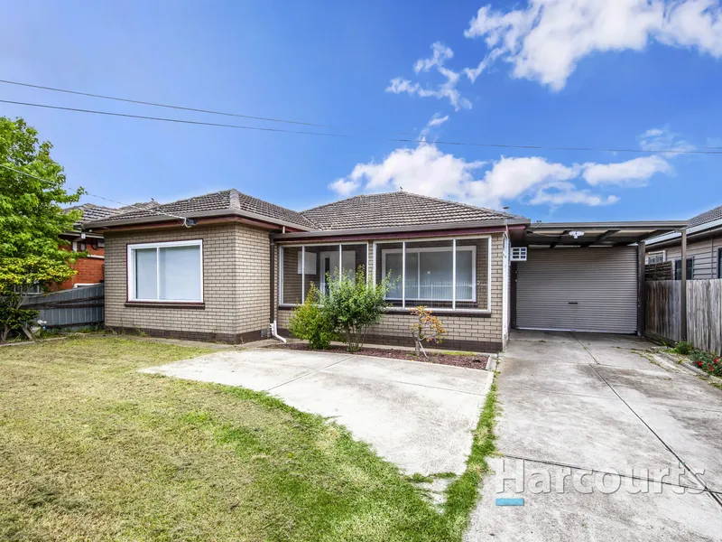 In The Heart Of Deer Park