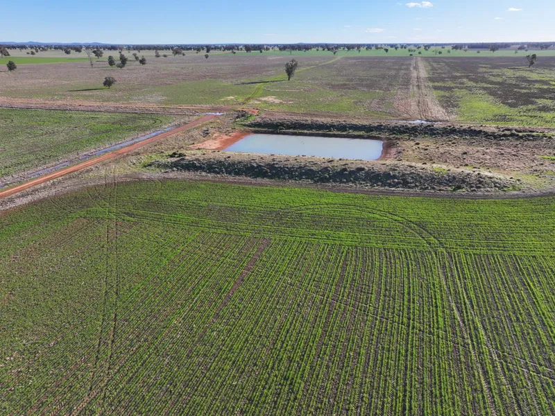 Efficient Farming Country On The Bland