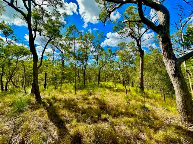 56 Acres of Undulating Land with Valleys, Ridges and Natural Creek Systems