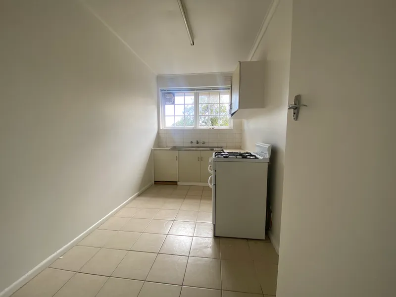 Fresh and ready for you