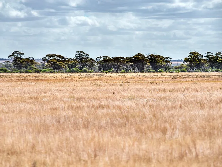 Over 1100ha, including 700ha farm land, scheme water