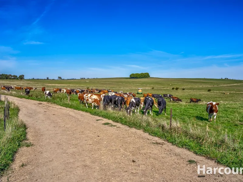 116 Acres - Prime Grazing Land In Tightly Held Region