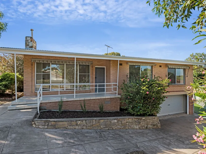 Very Comfortable Living with a Big Back Yard