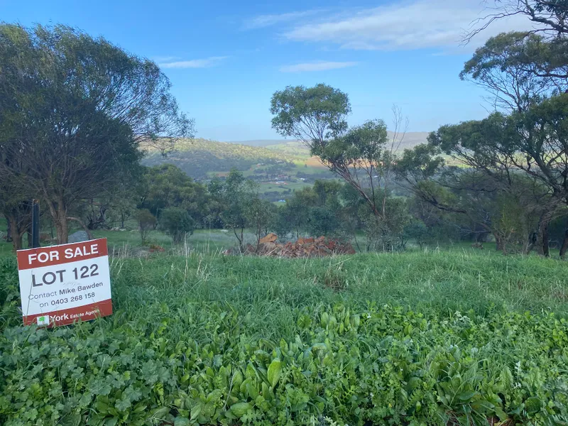 37 hilltop acres with outstanding panorama