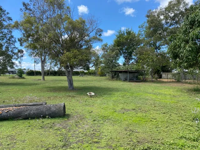 OVER 1 ACRE NO COVENANTS