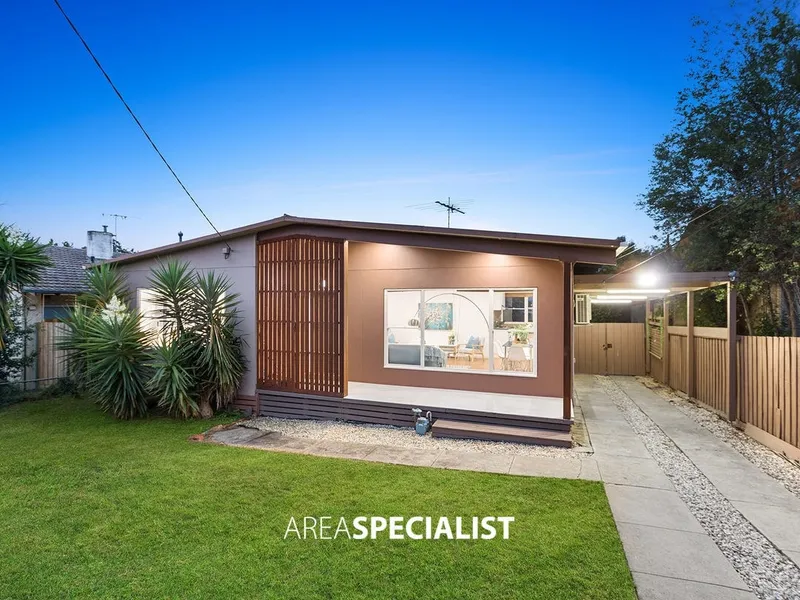 THE BRIEF: Contemporary Elegance and Versatility