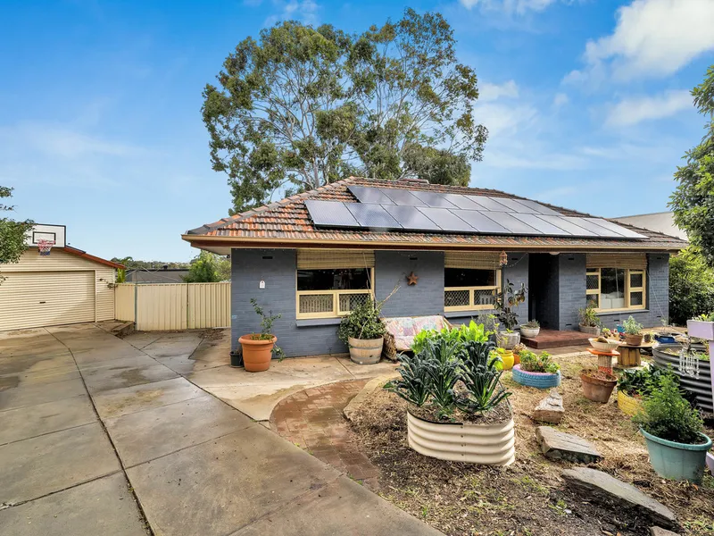 DELIGHTFUL FAMILY HOME ON A HUGE ALLOTMENT!