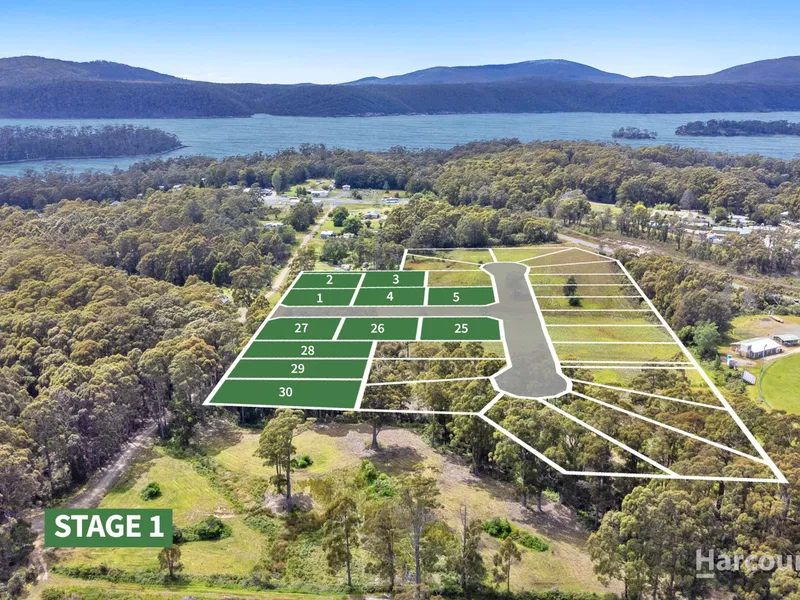 Introducing Tasman Escape, Stage 1