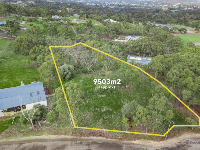 Space to move and be only minutes to the main street of Clare