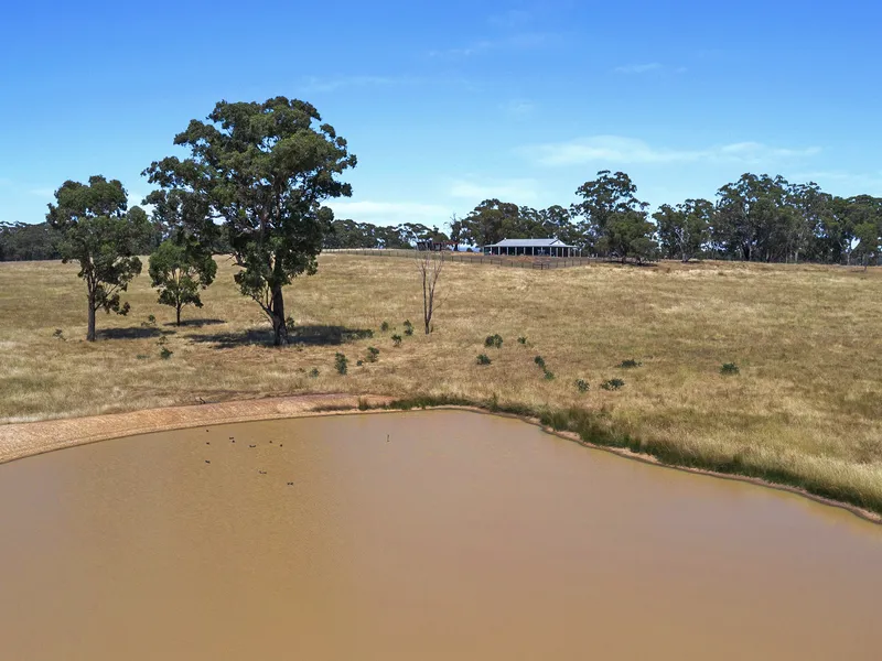 THE BEST OF BOTH WORLDS