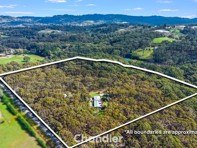 18 Acres with Inviting Home and Impressive Sheds