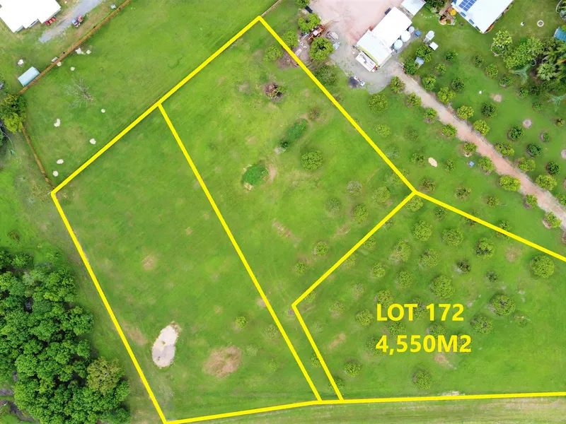 Here is your opportunity to purchase a unique part of Alligator Creek.