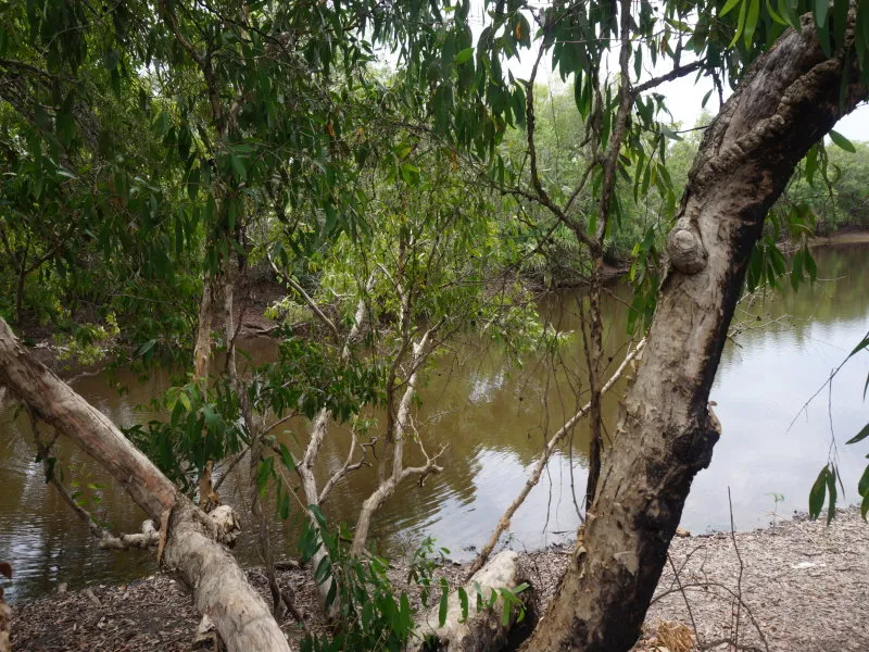 79 Hectares, 600 square metres of Natural Bushland in Adelaide River, NT