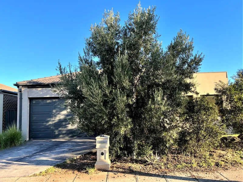 Convenience At Its Best!!