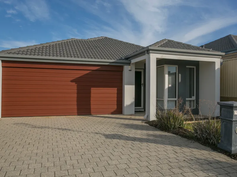 LOW MAINTENANCE, OUTDOOR ENTERTAINER