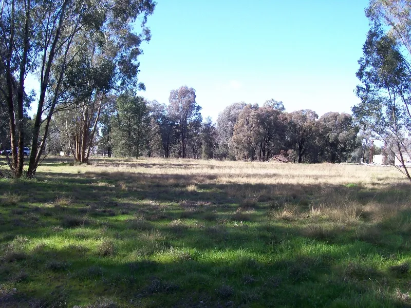 EXCELLENT PRICE - SUBDIVIDED INTO 9 BLOCKS - $10,700 PER BLOCK.