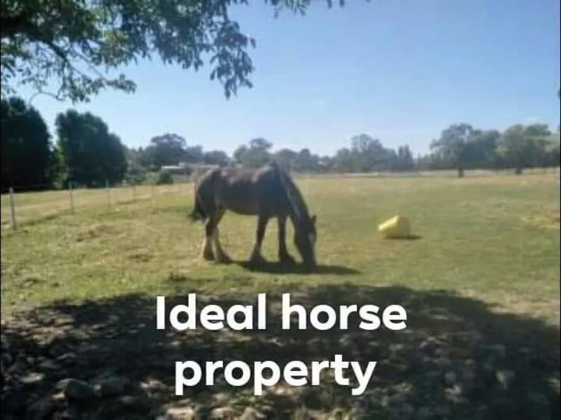 Perfect Tree Change and Horse Property