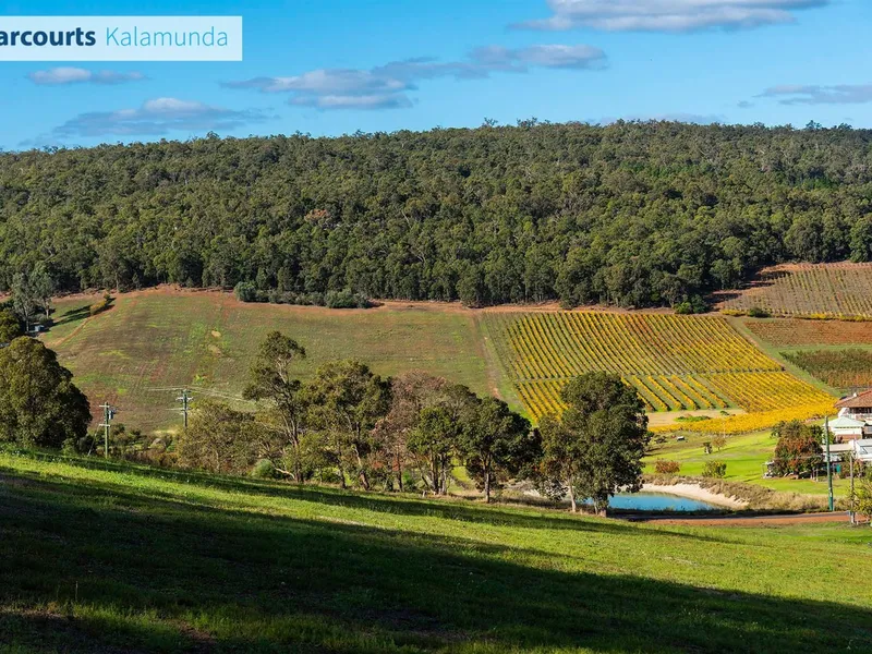 MUST SELL- Dream Opportunity