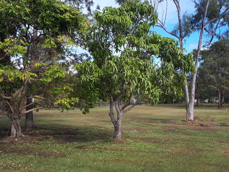 FRONT ON LAND WITH NO COVENANTS