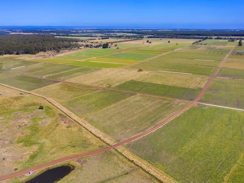 High Rainfall Dairy Farm With a Quality Built 50 Unit Rotary