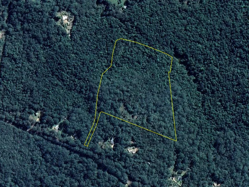31 Acre Forest Block minutes from Town