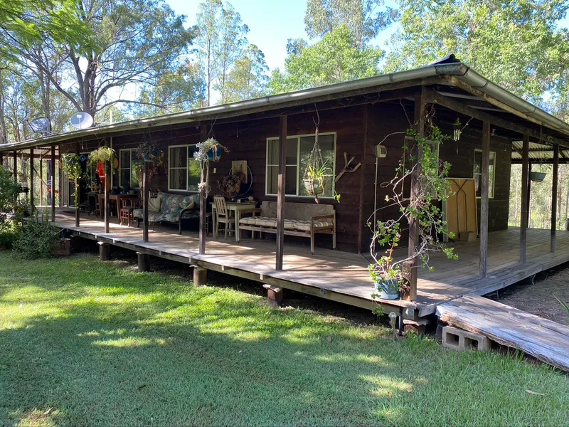 Bush serenity at Lilydale