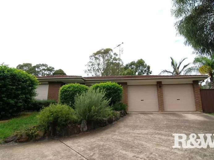 Set In a Quiet Battleaxe Position