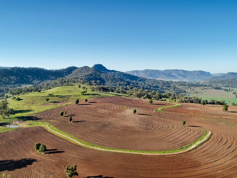Irrigation, Hay and Livestock Agribusiness