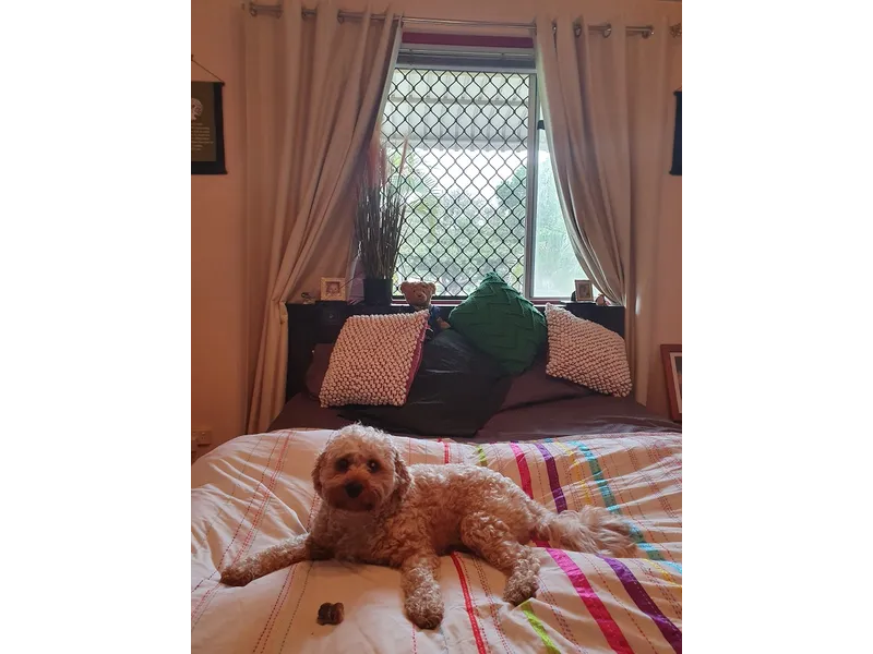 North Bundaberg 3-2-3